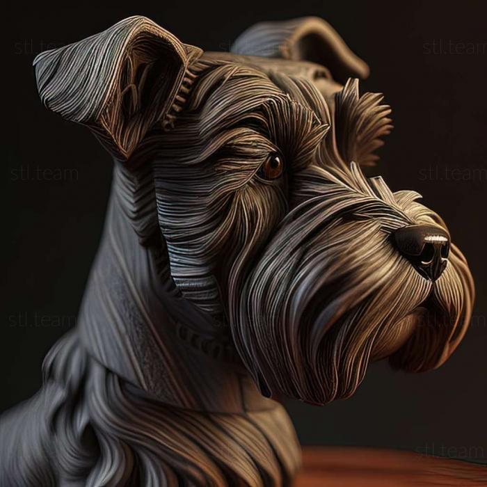 Zwergschnauzer dog